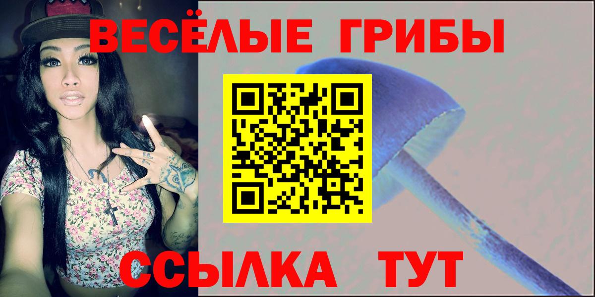 Кинель  Галлюциногенные грибы прущие грибы  Вход с VPN 